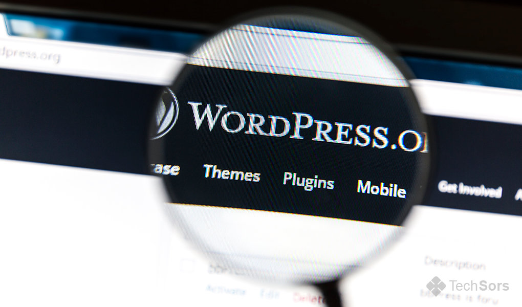 4 Tips to Choosing WordPress eCommerce Themes